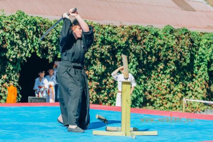 Учебные поединки по каратэ Кекусинкай-Лучший старт 20
