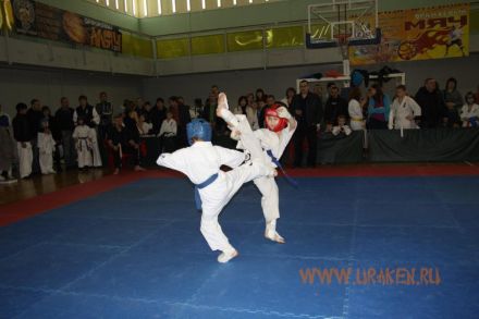 kubok_stalingrada_2013_karate 16