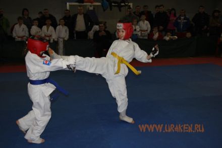 kubok_stalingrada_2013_karate 26