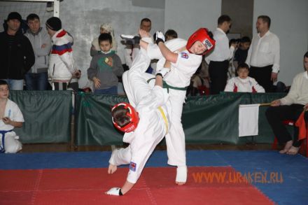 kubok_stalingrada_2013_karate 36