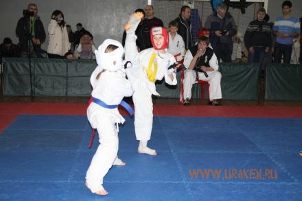 kubok_stalingrada_2013_karate 29