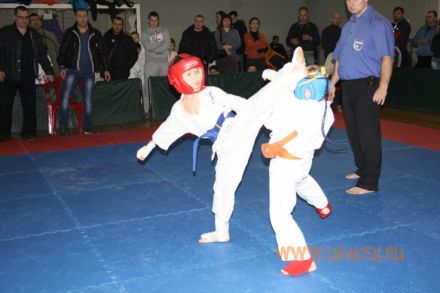 kubok_stalingrada_2013_karate 18