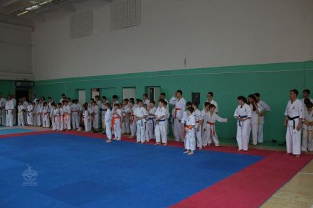 -      karatedoma 10