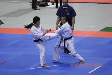International Karate Friendship 2014-uraken.ru 17