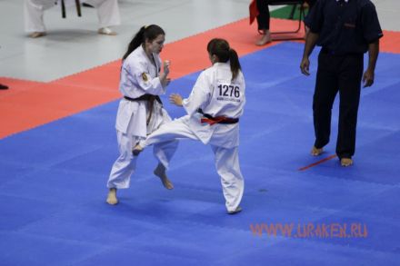 International Karate Friendship 2014-uraken.ru 5