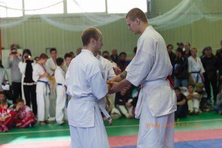 karate_pervenstvo_volg_obl_IFK_2014 9