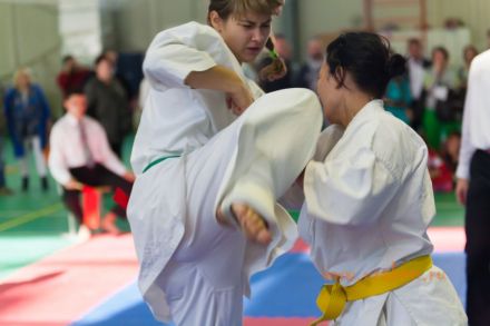 karate_pervenstvo_volg_obl_IFK_2014 5