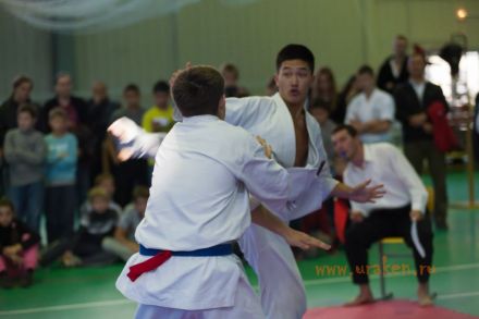 karate_pervenstvo_volg_obl_IFK_2014 3