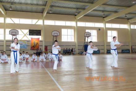 Ekzamen-na-poyas-karate-kiokusinkay-uraken-volgograd-part2 11