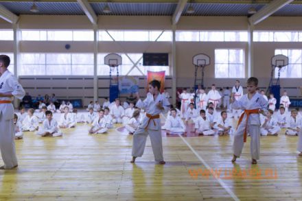 Ekzamen-na-poyas-karate-kiokusinkay-volgograd-part2 34