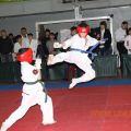 kubok_stalingrada_2013_karate 33