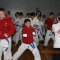 kubok_stalingrada_2013_karate 2