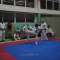 26-klubnyie-sostyasaniya-karate-volgograd-uraken 19