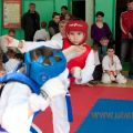 klubnie-12-uraken-karate-kyokushinkai 33