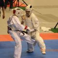 International Karate Friendship 2014-uraken.ru 0