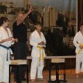 Соревнования по каратэ киокусинкай в дисциплине тамэсивари 50