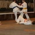 Соревнования по каратэ киокусинкай в дисциплине тамэсивари 51