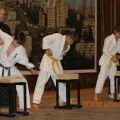 Соревнования по каратэ киокусинкай в дисциплине тамэсивари 49