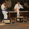 Соревнования по каратэ киокусинкай в дисциплине тамэсивари 54