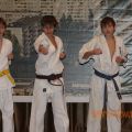 Соревнования по каратэ киокусинкай в дисциплине тамэсивари 66