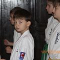 Соревнования по каратэ киокусинкай в дисциплине тамэсивари 37