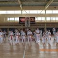 Ekzamen-na-poyas-karate-kiokusinkay-uraken-volgograd-part2 6