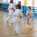 Боевая тренировка кекусинкай каратэ РОСО ВФК 5