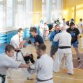 Боевая тренировка киокусинкай каратэ РОСО ВФК 26