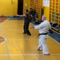 Боевая тренировка кекусинкай каратэ РОСО ВФК 14
