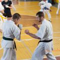 Боевая тренировка киокусинкай каратэ РОСО ВФК 33
