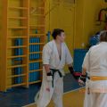 Боевая тренировка киокусинкай каратэ РОСО ВФК 41