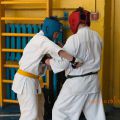 Боевая тренировка кекусинкай каратэ РОСО ВФК 8