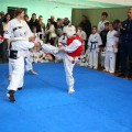 49-�� ������� ���������� ������ ������ � 9 ����� 13 ������� 2025_uraken.ru_����� 2 79